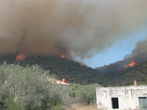 Incendi in Sardegna: disastro senza precedenti