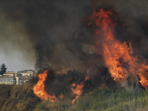 Il sud Italia brucia: roghi in Aspromonte e Sicilia, 500 interventi dei Vigili del Fuoco in 12 ore