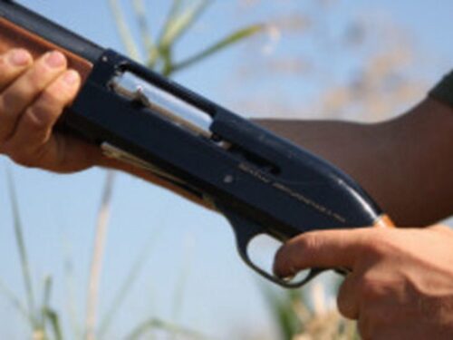 Tragedia durante la caccia al cinghiale a Grosseto: muore colpito da proiettile di rimbalzo