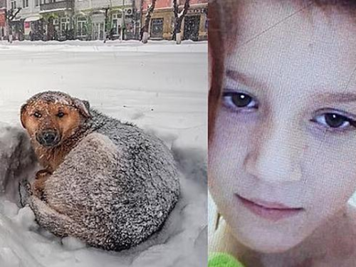 A 10 anni sorpresa dalla tempesta, Vika sopravvive una notte al gelo abbracciando un cane randagio