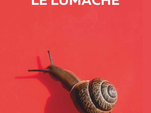 “Siamo come le lumache” di Laura Moreni, un romanzo di consapevolezza e riflessione