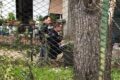 Donna uccisa a coltellate in casa a Terni, marito fermato dalla polizia