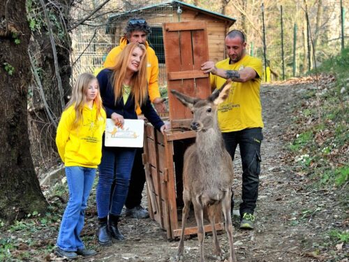 TV, A DALLA PARTE DEGLI ANIMALI GLI ANIMALI DA SALVARE E CON CUI CONVIVERE: LA CAPRIOLINA DREAM E CAGNOLINO JOKER, TROVATI IN FIN DI VITA, LA PROTEZIONE DEI CINGHIALI E I CANI “PERICOLOSI” CHE SI POSSONO E SI DEVONO RECUPERARE