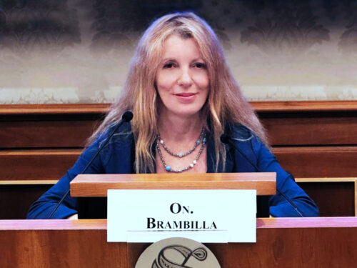 LEGGE BRAMBILLA: IL 68,6 PER CENTO DEI REATI CONTRO GLI ANIMALI SONO UCCISIONE E MALTRATTAMENTO 